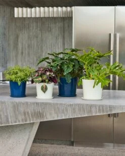 HAY Botanical Family Ruukku Ja Lautanen, L, Tummansininen -EMI Sisustus Kauppa Botanical Family Set M dark blue off white Botanical Family Set L dark blue off white 1