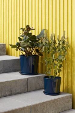 HAY Botanical Family Ruukku Ja Lautanen, XL, Tummansininen -EMI Sisustus Kauppa Botanical Family Set XL dark blue Botanical Family Set L dark blue 1