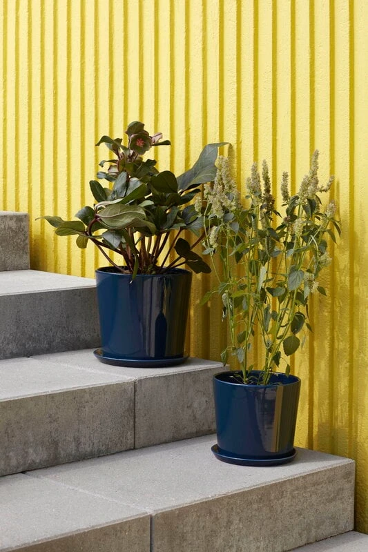 HAY Botanical Family Ruukku Ja Lautanen, XL, Tummansininen - Image 4