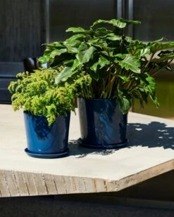 HAY Botanical Family Ruukku Ja Lautanen, XL, Tummansininen -EMI Sisustus Kauppa Botanical Family Set XL dark blue Botanical Family Set L dark blue 01 1