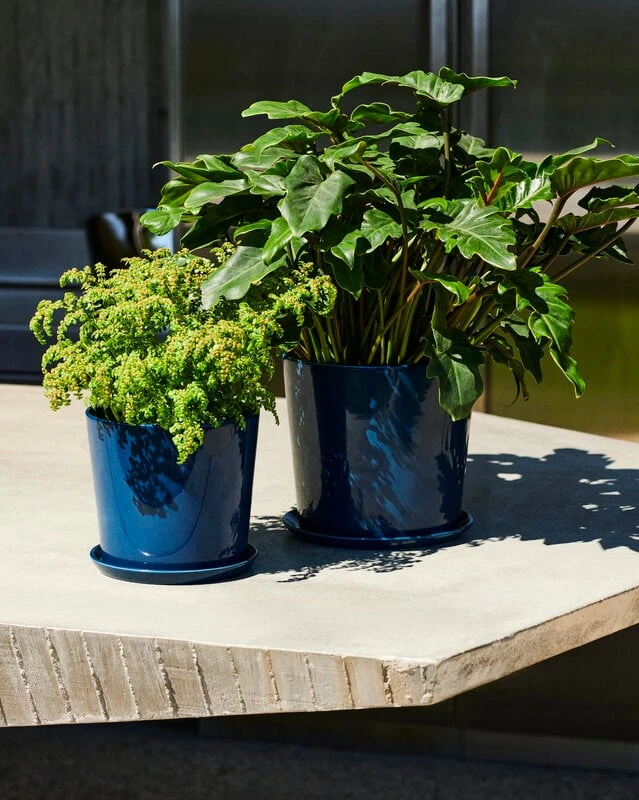 HAY Botanical Family Ruukku Ja Lautanen, XL, Tummansininen - Image 3