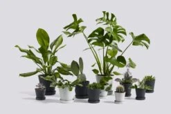 HAY Flowerpot Ruukku Ja Lautanen, M, Musta -EMI Sisustus Kauppa Flowerpot Family 1