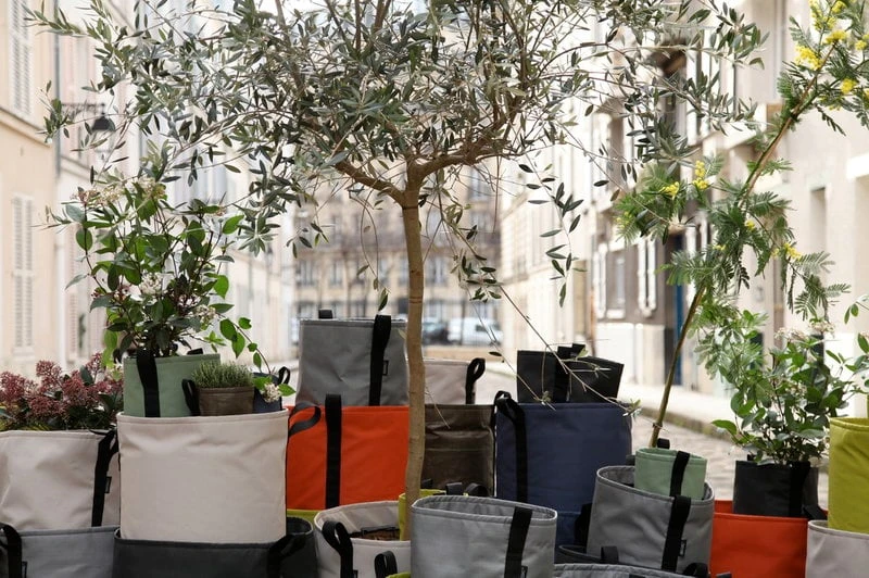 Bacsac Kangasruukku, Luonnonvalkoinen 8 Bacsac Kangasruukku, Luonnonvalkoinen - Image 6