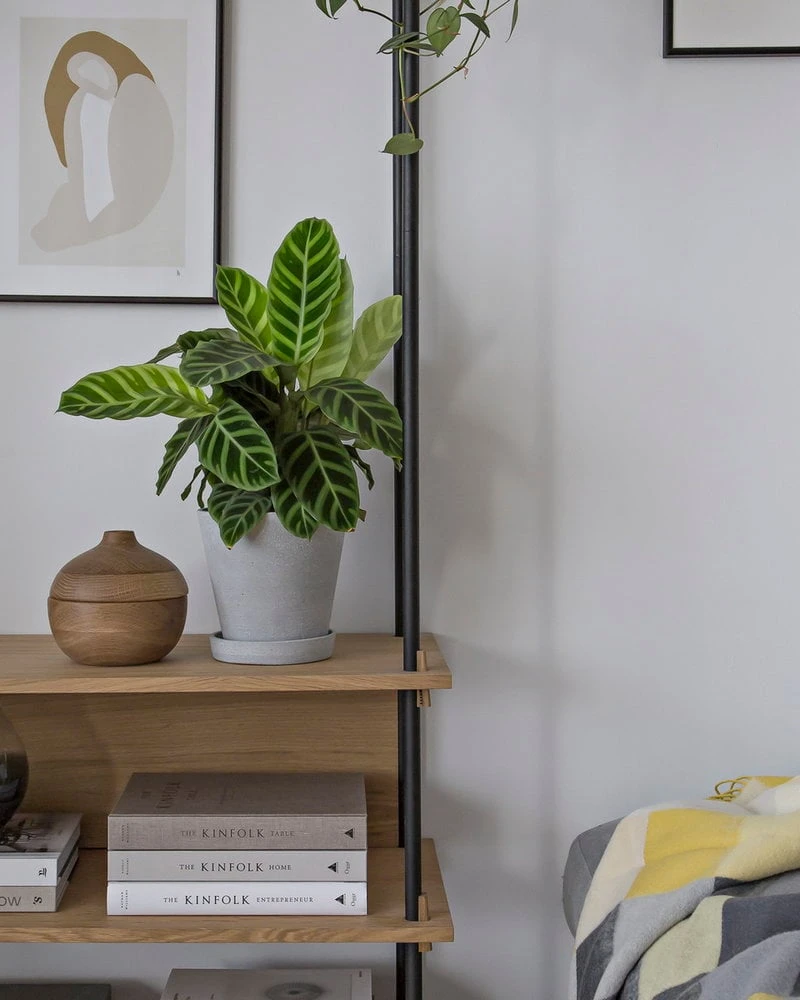 HAY Flowerpot Ruukku Ja Lautanen, M, Harmaa 7 HAY Flowerpot Ruukku Ja Lautanen, M, Harmaa - Image 5