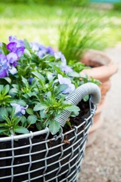 Korbo Istutuspussi 24, 3 Kpl -EMI Sisustus Kauppa korbo Classic 24 Pansy