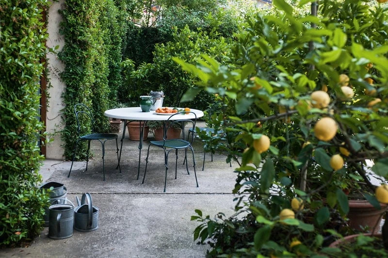 Magis Vigna Tuoli 6 Magis Vigna Tuoli - Image 4